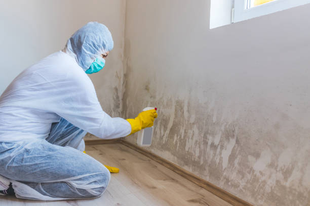 Commercial Mold Remediation assessment for commercial property in Burnham